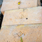 Kigbeare Kiln Project - 